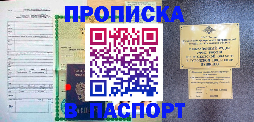 временная регистрация госуслуги в Красноармейске